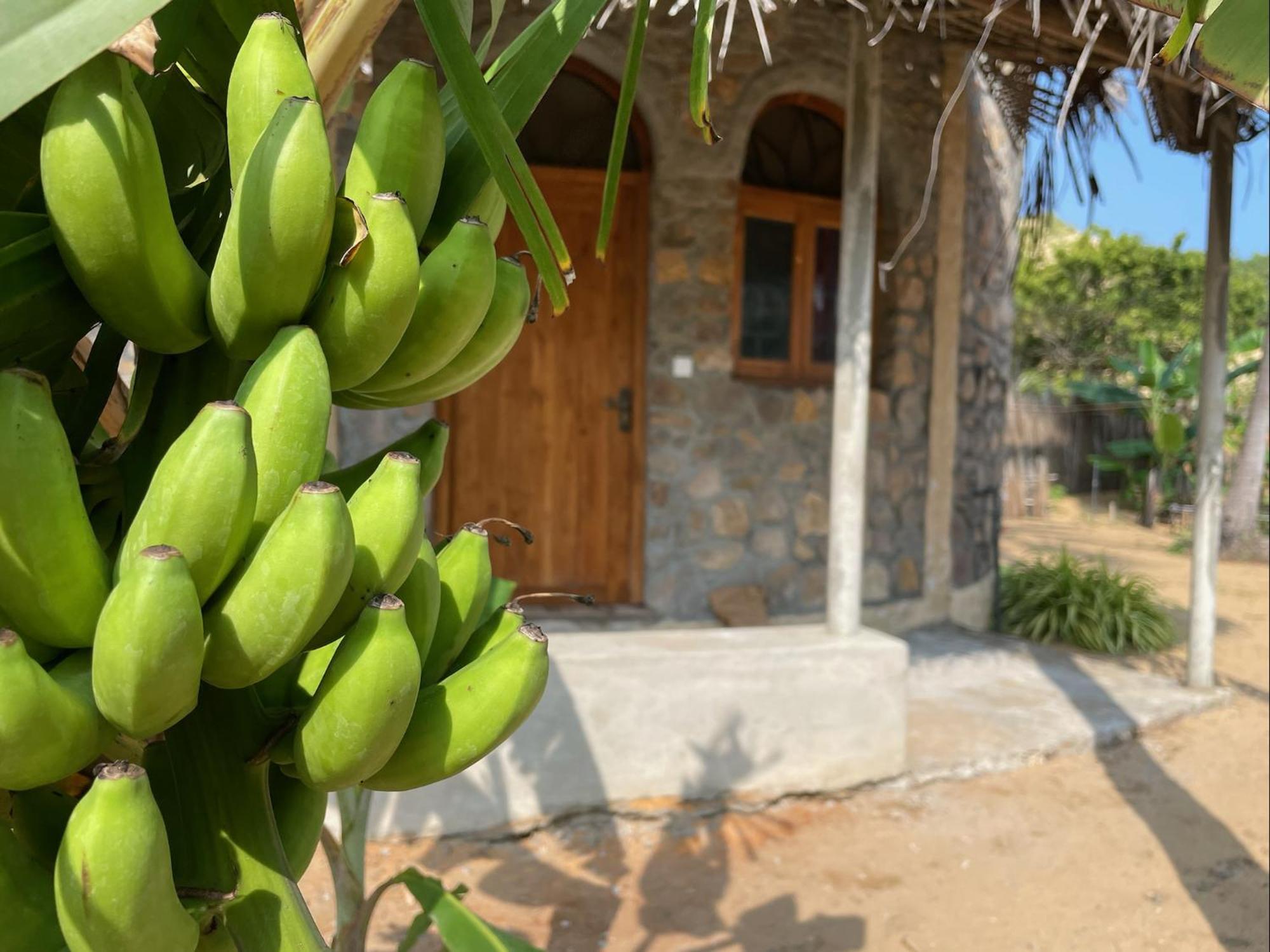 Dune Towers Kalpitiya Exterior photo